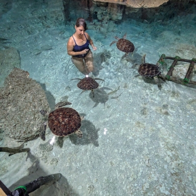 1000105269-scaled