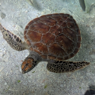 1000115662-scaled