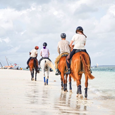 by the horses over the white sand beach in Zanzibar