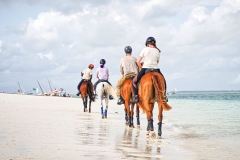 by the horses over the white sand beach in Zanzibar